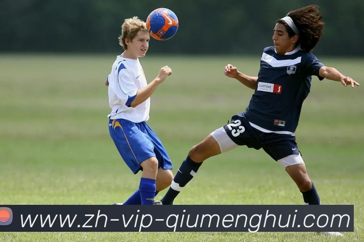 App Interface Preview